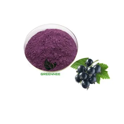 Pulbere de coacăze neagră uscată congelată